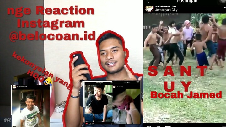 Nge Reaction Instagram @belocoan.id