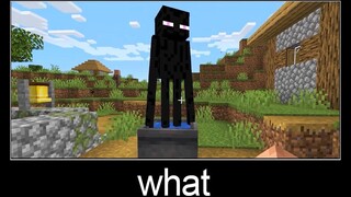 Minecraft รออะไร meme part 6 Enderman + น้ำ