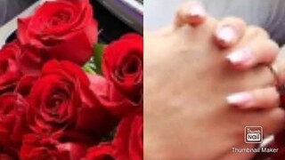 Can Yaman and Demet Ozdemir confirmation about their relationship together