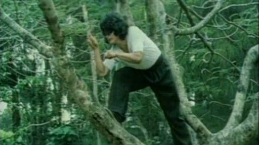Master with Cracked Fingers (1971) | Young Jackie Chan Kung Fu Action Movie