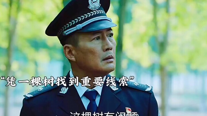 A single tree solved a decade-old cold case—creepy the more you think about it!