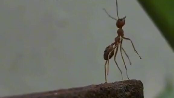 terkadang perjuangan kita tidak di hargai🥲