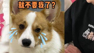 突然要回杭州了！男朋友在我家赖上了？