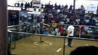 SULUKAN 3RD  BY DNJ GF