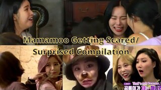 Mamamoo Getting Scared/ Surprised Compilation