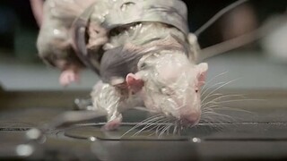 [Life] Menahan Kerusakan Fisik dengan Getaran Frekuensi Ultra-Tinggi!