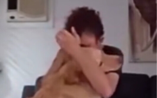 Tuan rumah menderita gangguan kecemasan. Setiap kali serangan kecemasan datang, anjing terapi milikn