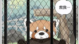 Please call me Red Panda