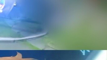 Nếu ngươi có thể đứng ở đó, ta sẽ cạo mười bộ kiếm khúc Thanh Liên