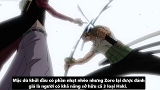 Zoro Có Haki Bá Vương  Tiềm Năng Sức Mạnh Của Zoro  Giả Thuyết One Piece p2