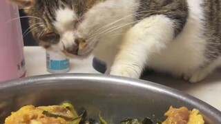 Menutup telinga dan mencuri bel?