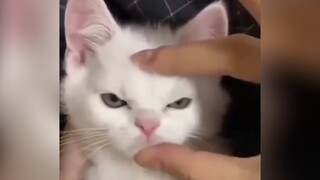 “ฉันเตือนเธอแล้ว อย่ายุ่งกับฉัน”