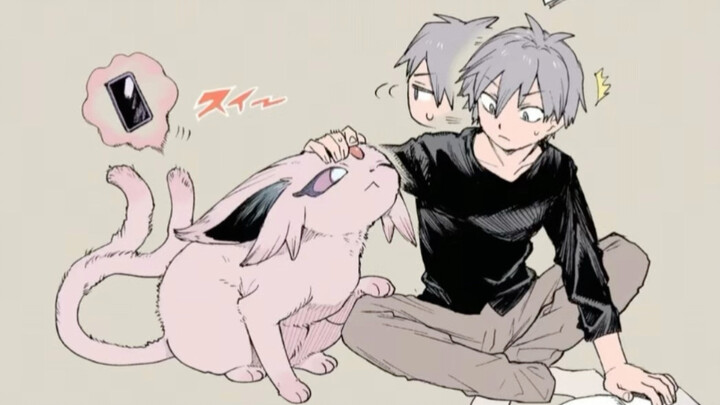 The Little Tricks of the IBs