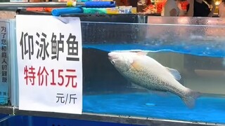 大家尽管笑，功德算我的！
