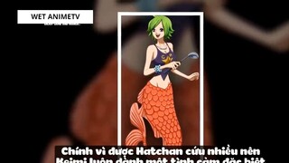 Top 6 Thánh Nhọ Trong One Piece #15 3