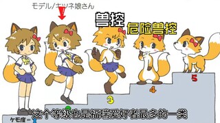 Analysis of the Furui Level Chart