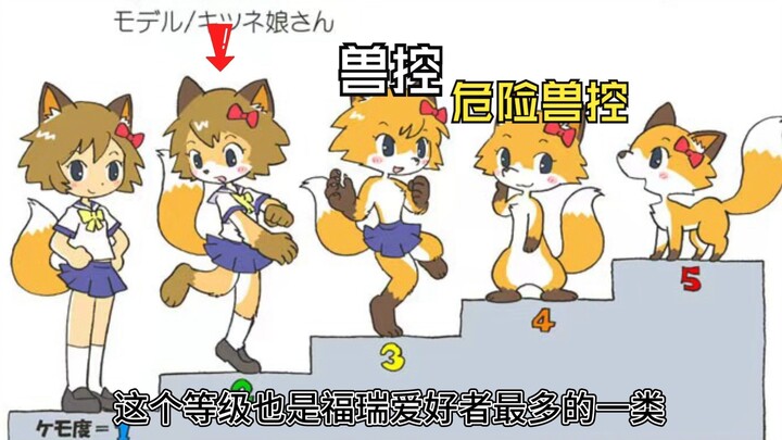 Analysis of the Furui Level Chart