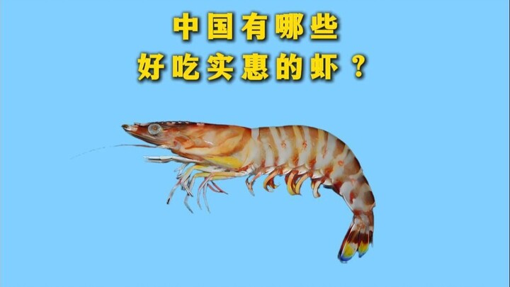 What delicious and affordable shrimp dishes are there in China?