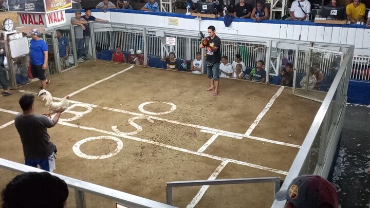 entry name 24K taytay cockpit arena