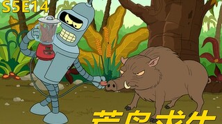 【废材】班德不想升级跑路了去玩了把荒岛求生错把猪鼻子当插座飞出个未来之荒岛求生