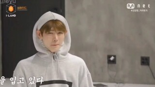 You haven't seen the fake love group's hilarious version of fake love