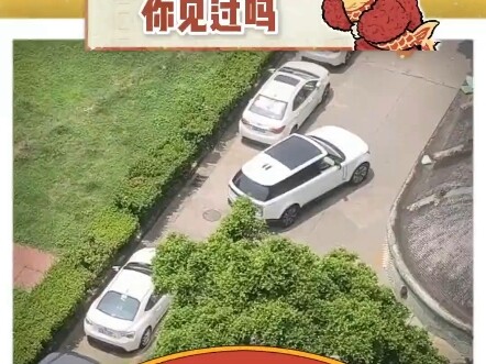 Is this black car gonna stop? The front’s going in first… it’s going in first, it’s so ahead of the 