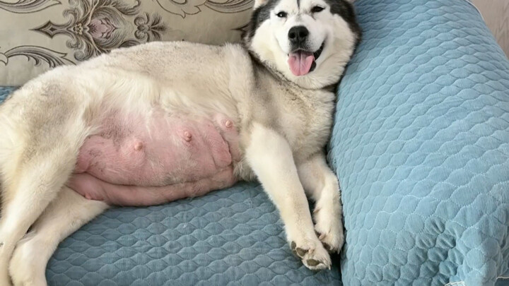 Hitung mundur pembongkaran barang