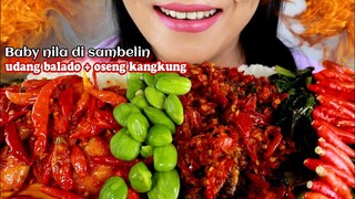 ASMR BABY NILA DI SAMBELIN, UDANG BALADO, OSENG KANGKUNG | ASMR MUKBANG INDONESIA