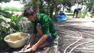 NHỮNG MÓN ĂN CHỈ CÓ Ở VÙNG QUÊ - TT107