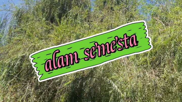 alam semesta