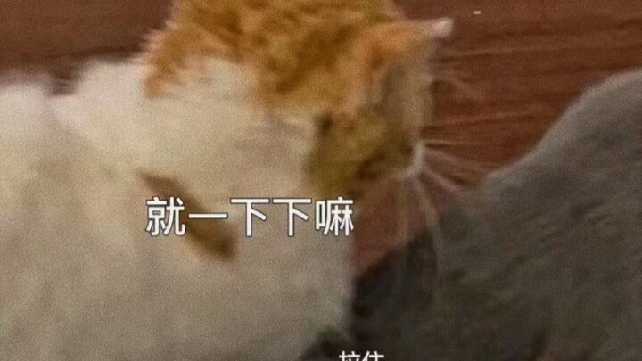 Saat lagi “Juli Jiqi”, jangan berhenti!