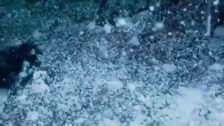 (เต็มเรื่อง)เด็กฝึกงานสาวคนใหม่โดนแกล้ง CEO โผล่มาเรียกเธอว่าเมียต่อหน้าทุกคน ทำเอาทั้งออฟฟิศช็อก