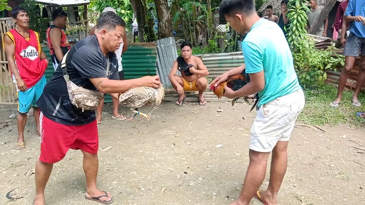 Tukong vs alimbuyogin samin. walang sugat 1st win