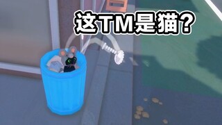 好好好！小猫让你这样玩是吧？