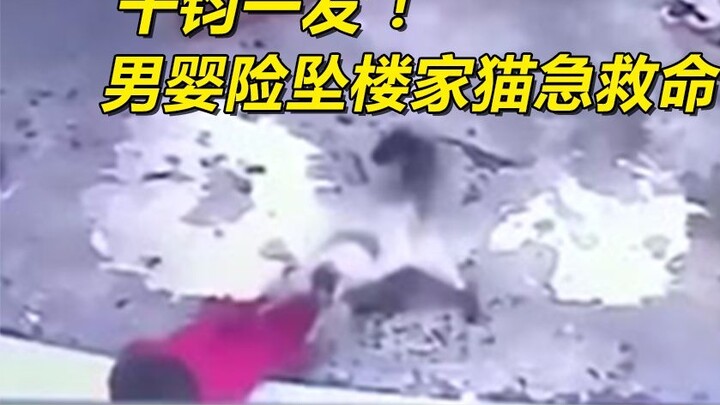 thrilling! In the nick of time, a baby boy nearly fell from a building and a domestic cat rescued hi