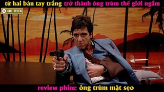 từ hai bàn tay trắng trở thành ông trùm thế giới ngầm - Review phim ông trùm mặt sẹo