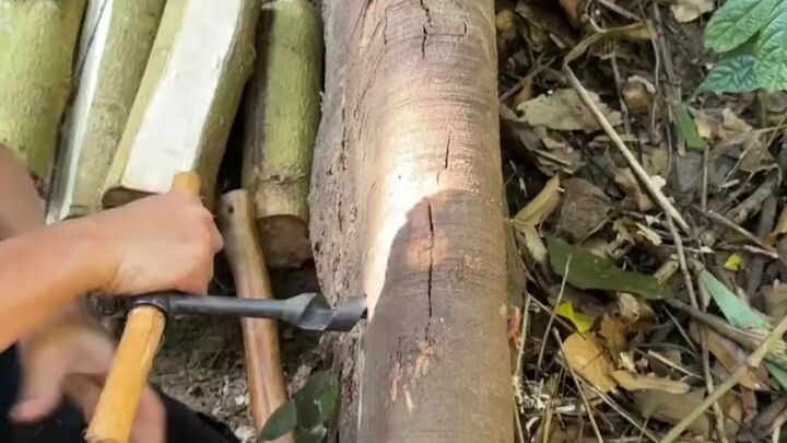 how to Made safe shelter in forest by evange #shelter