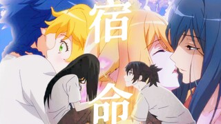 【宝岚·白苏·月红】论国漫三对寿命论CP的相似性 |“你是前世未止的心跳，你是来生胸前的记号”| 一人之下·狐妖小红娘