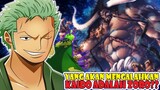 FIX INI SUDAH PASTI, Yang Akan Mengalahkan Kaido Nantinya Adalah Zoro [One Piece Theory]