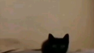 Explosion.Mp4