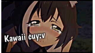 Ketika kucing kawaii mabuk 😣😣