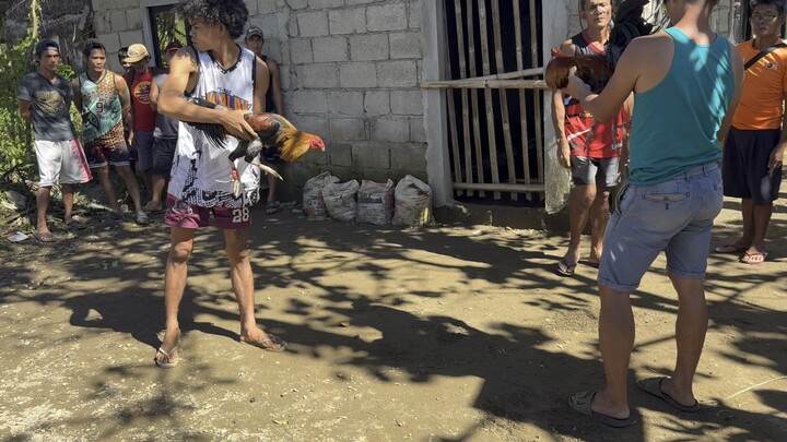 3rd W. son of majinboo the tinola line