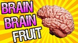 Vegapunk's Brain-Brain Fruit!! - One Piece Discussion | Tekking101