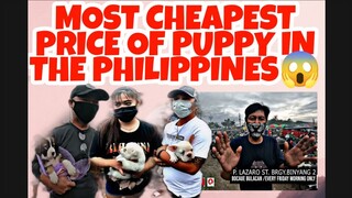 BOCAUE BULACAN PET MARKET IN THE PHILIPPINES QUALITY AND CHEAPEST PRICES vlog#403