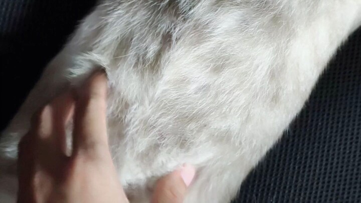 看完《仙道》後我出現幻覺了（我是泰國人）