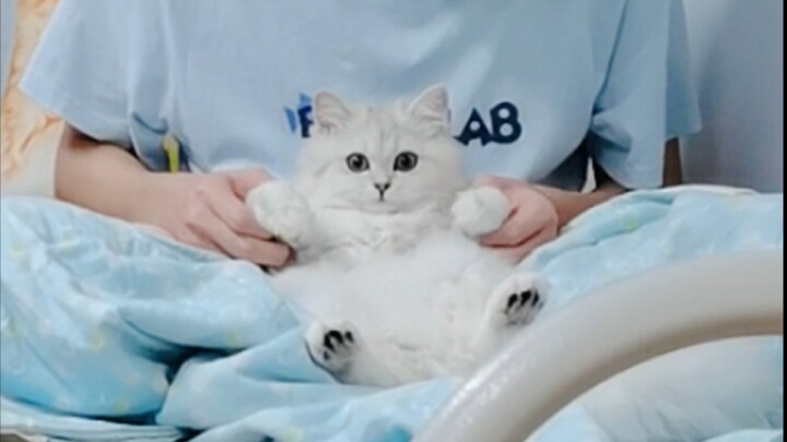 If you don't work hard, you'll become a man's plaything.