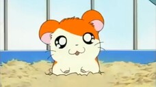 Hamtaro Episode 01 Hamtaro