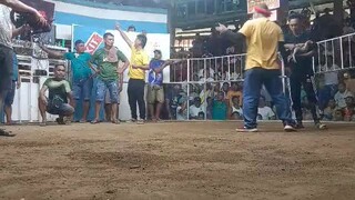 3rd fight WiN hindi na tayo nag bitaw pahiyang tayo talo 2nd fyt kona bitaw