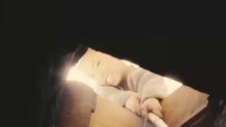 为了防止牛结实偷肉，小伙堵住家里所有门窗，却意外害死了家人