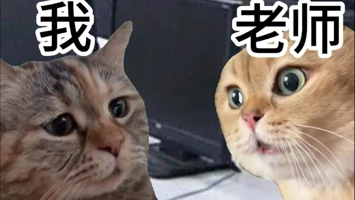 Why did you only write the header file?